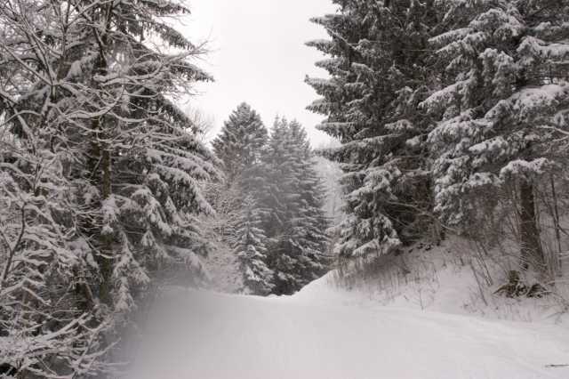 PICT0133.JPG