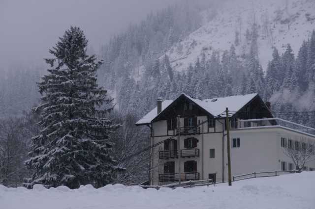 PICT0139.JPG