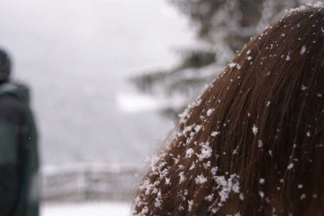 PICT0200.JPG