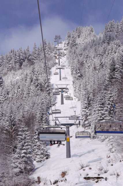PICT0315.JPG