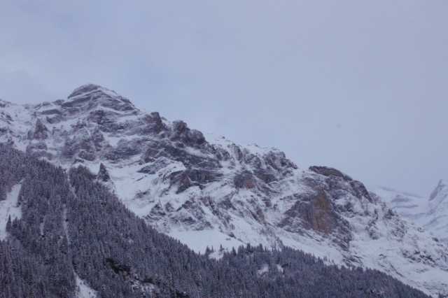 PICT0402.JPG