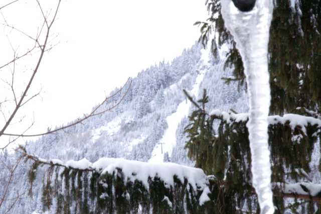 PICT0416.JPG