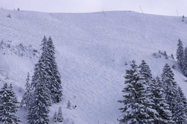 PICT0525.JPG