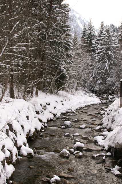 PICT0549.JPG