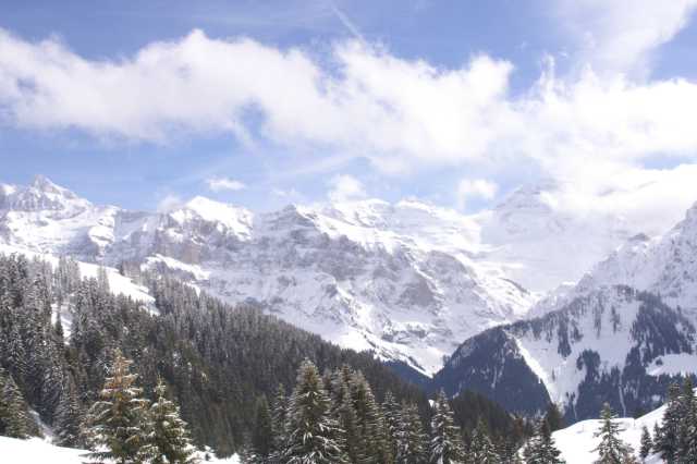 PICT0880.JPG