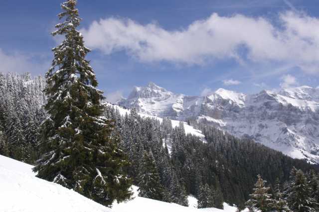 PICT0881.JPG