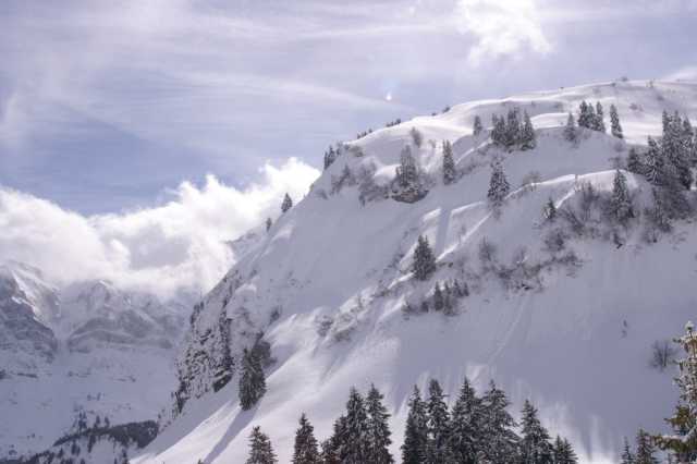 PICT0883.JPG
