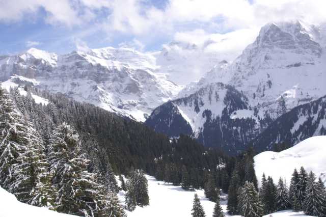 PICT0886.JPG