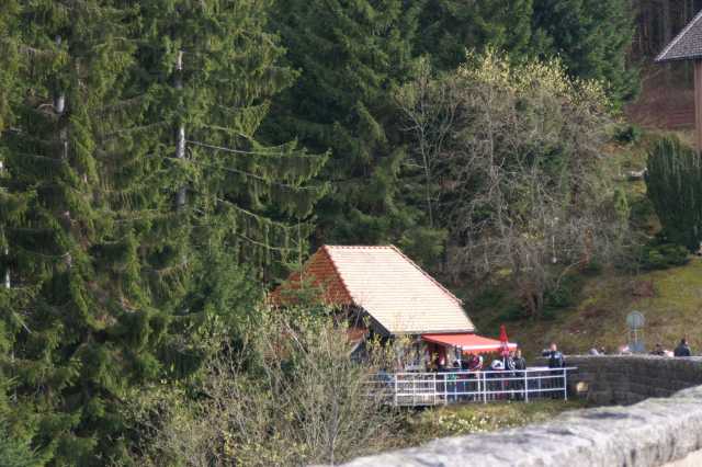 PICT0031.JPG