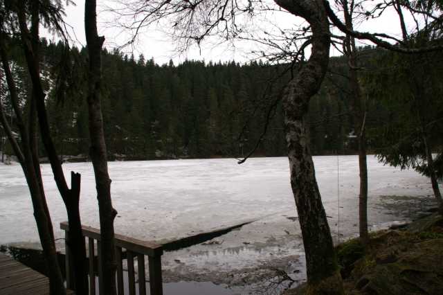PICT0039.JPG