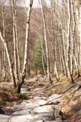 PICT0150.JPG