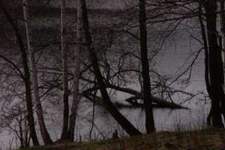 PICT0220.JPG