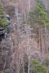 PICT0527.JPG