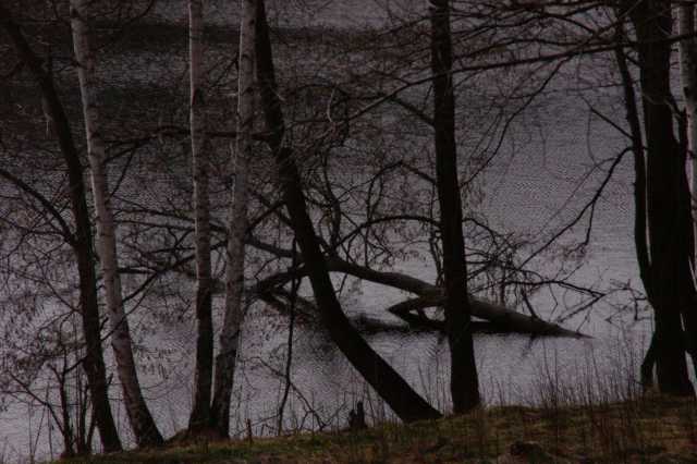 PICT0220.JPG