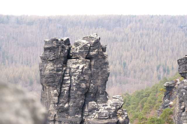 PICT0513.JPG