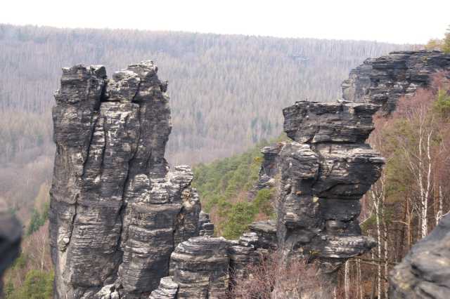 PICT0522.JPG