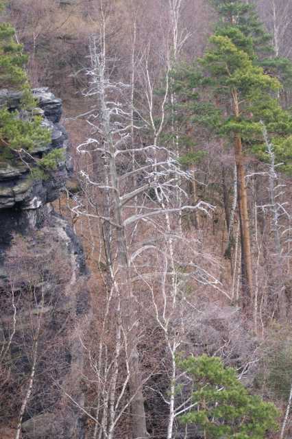 PICT0527.JPG