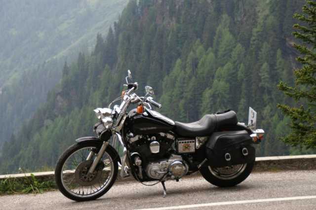 PICT0117.JPG