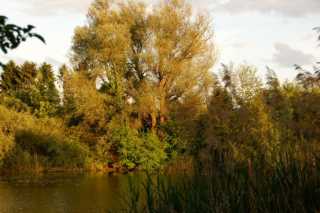 PICT0073.JPG
