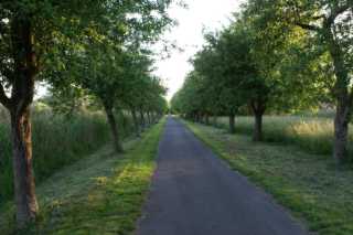 PICT0081.JPG
