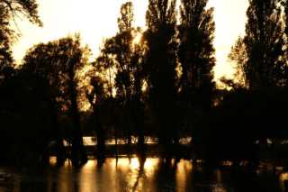 PICT0083.JPG