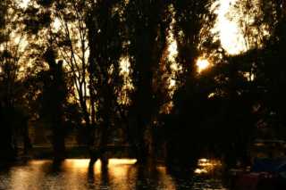 PICT0133.JPG