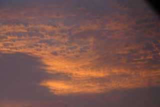PICT0140.JPG