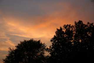PICT0736.JPG