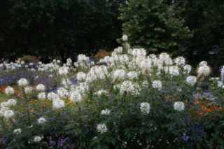 PICT0742.JPG