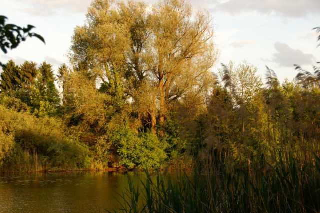 PICT0073.JPG
