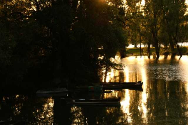 PICT0099.JPG