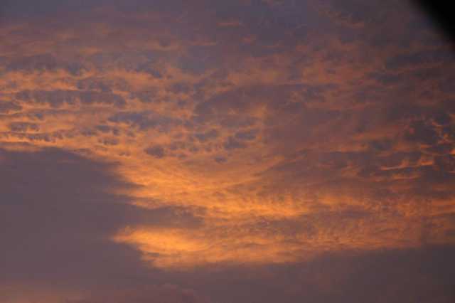 PICT0140.JPG