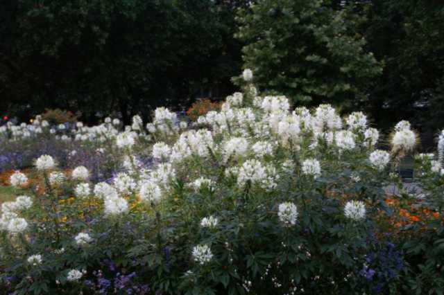 PICT0742.JPG
