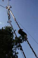 PICT0837.JPG