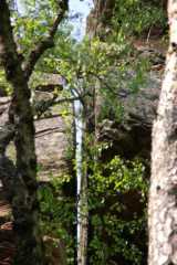 PICT0160.JPG
