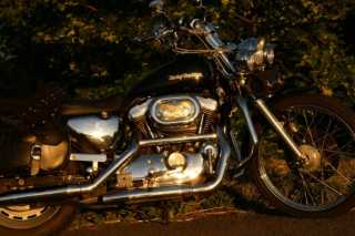 PICT0669.JPG