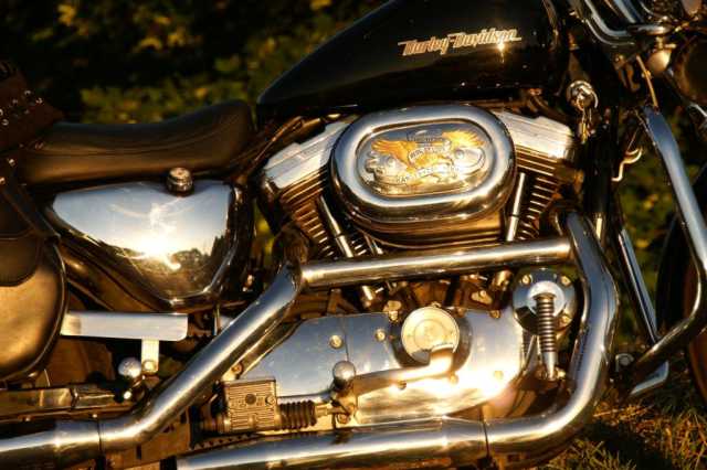PICT0668.JPG