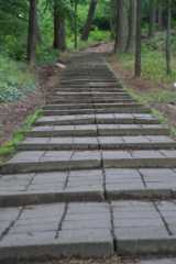 PICT0006.JPG
