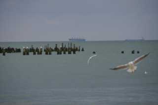 PICT0021.JPG