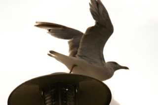 PICT0048.JPG