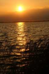 PICT0068.JPG