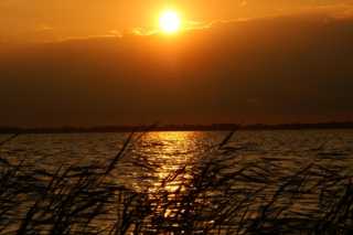 PICT0072.JPG