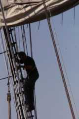PICT0204.JPG