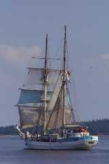 PICT0282.JPG