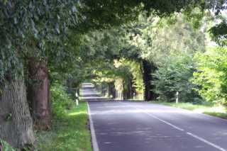 PICT0294.JPG