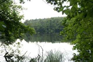 PICT0317.JPG