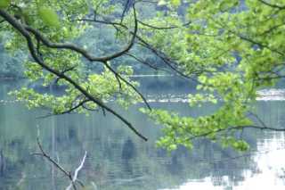 PICT0318.JPG