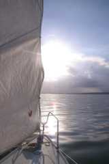 PICT0542.JPG