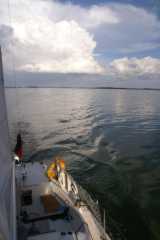 PICT0545.JPG
