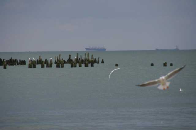 PICT0021.JPG